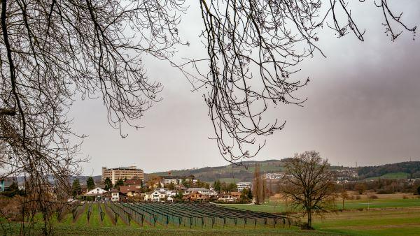 Nőtt a kereslet a fővárosi agglomeráció ingatlanjai iránt