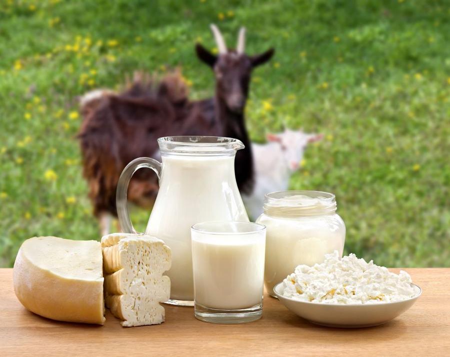 Szigorodik a kecskesajt és a kevert tejes italok besorolása