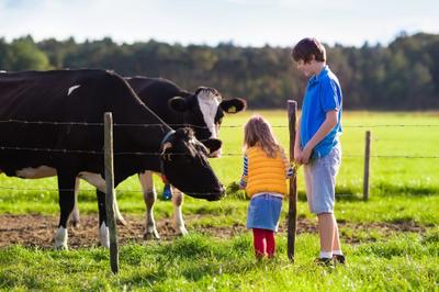 Hódít a farmturizmus